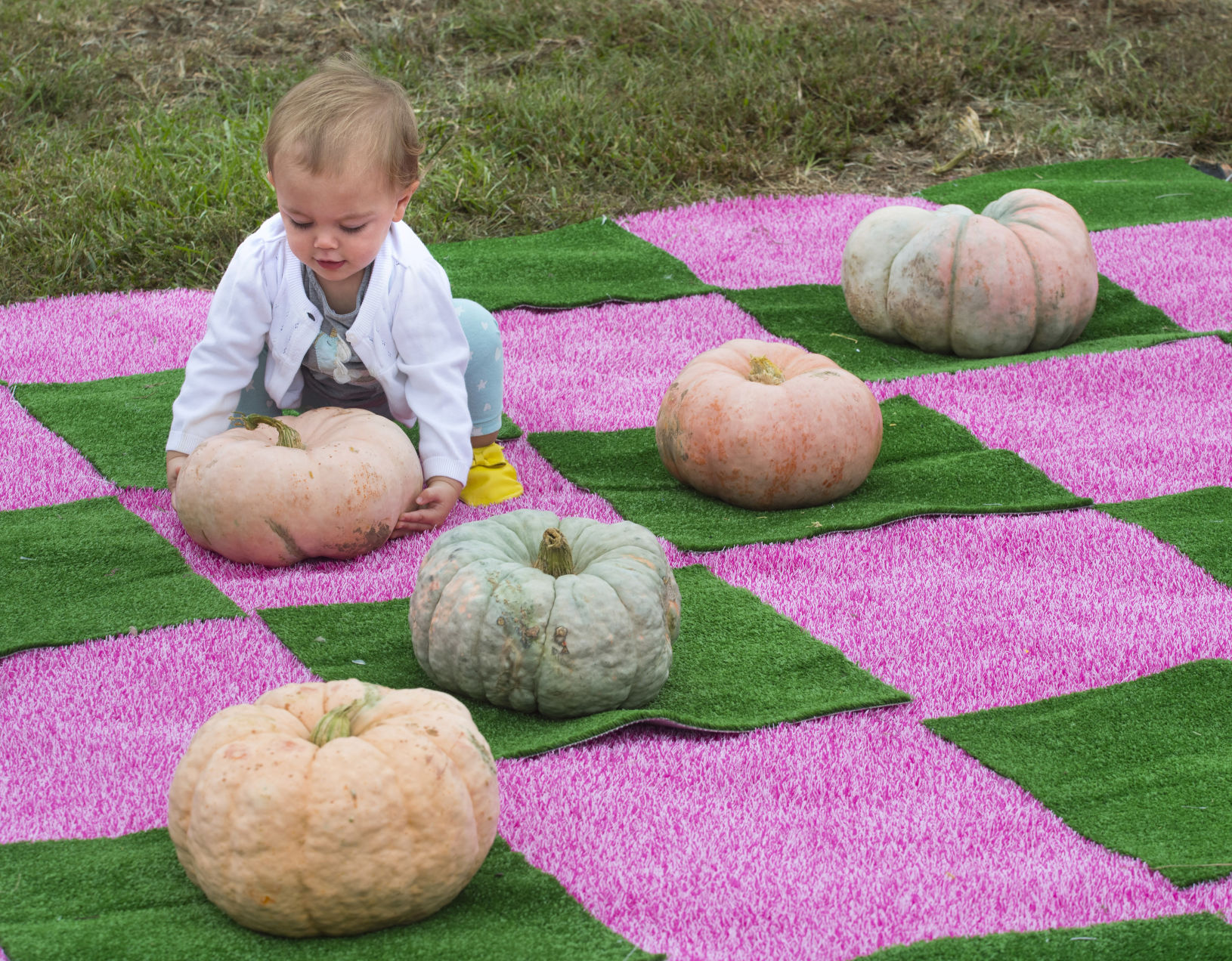 BR.pinkpumpkins.100919 TS 132.jpg